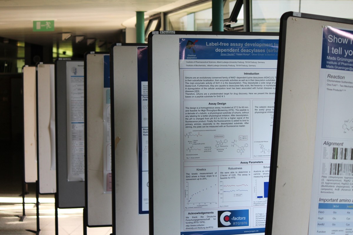 Studium in der Fakultät für Chemie und Pharmazie — Fakultät für Chemie
