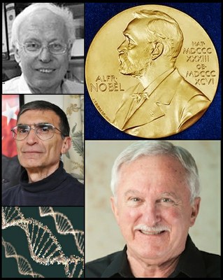 Chemie Nobelpreis 2015 "for mechanistic studies of DNA repair"
