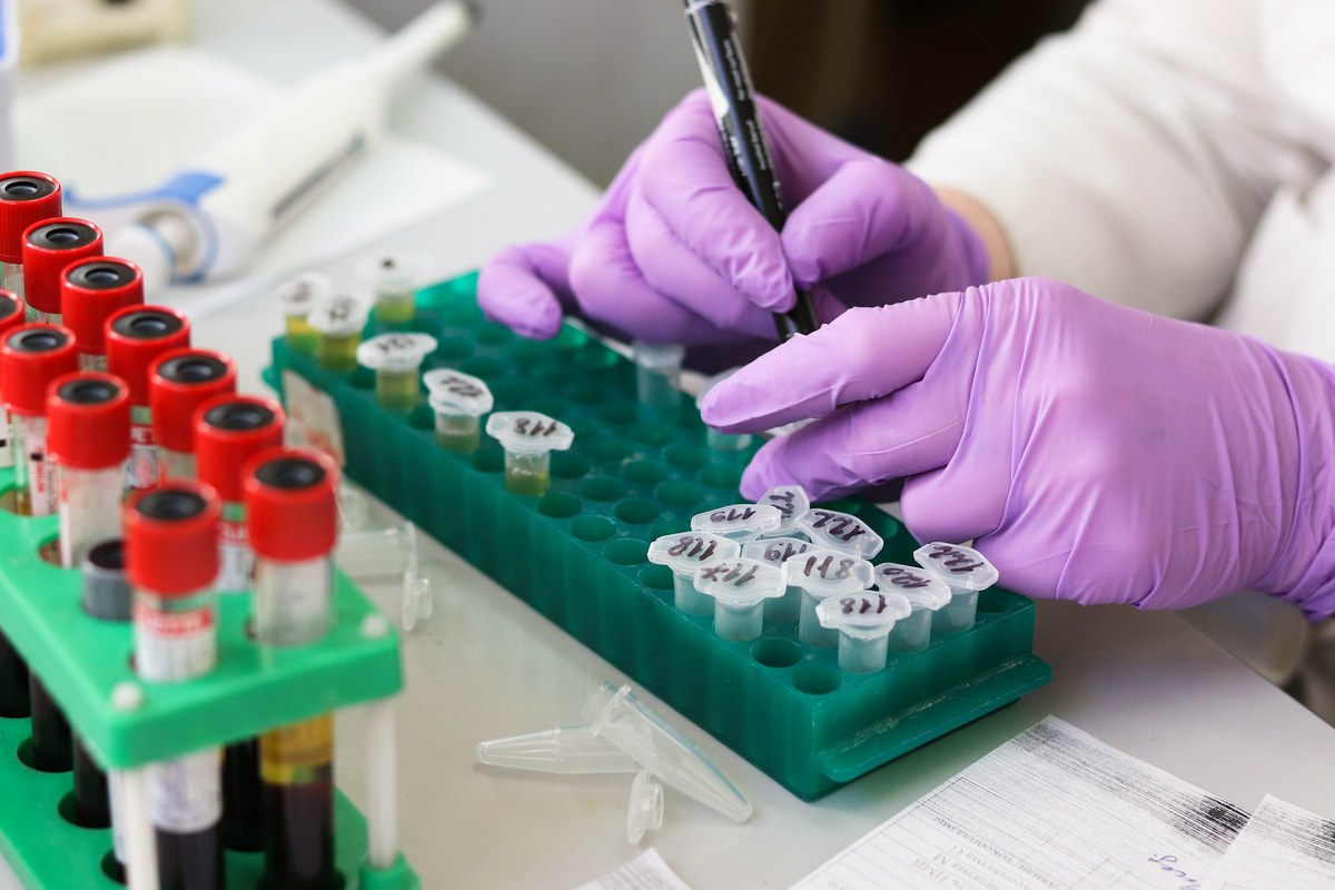 Studium in der Fakultät für Chemie und Pharmazie — Fakultät für Chemie